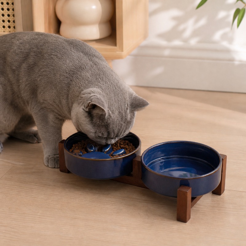2027 Japanese-style Kiln Ceram - Royal Canin Food Medium 评论和价格