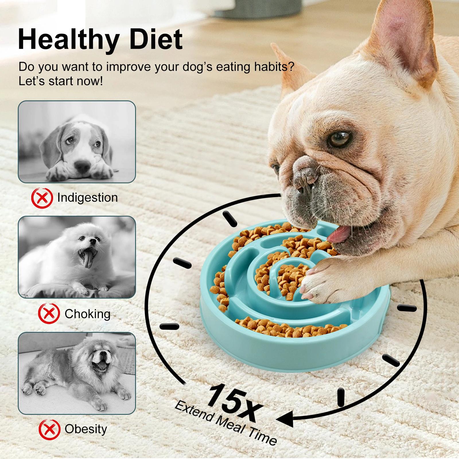 Pet Dog Slow Feeder Bowl Fun N - Royal Canin Food Medium 评论和价格